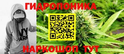 молекула духа Заводоуковск