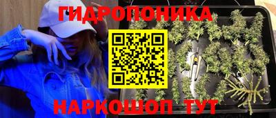 a pvp Жуковский