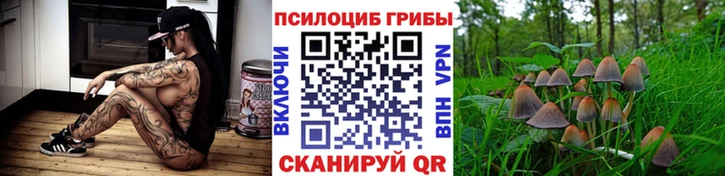 Псилоцибиновые грибы ЛСД Омск