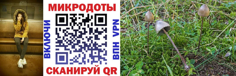наркошоп  Омск  Псилоцибиновые грибы MAGIC MUSHROOMS 